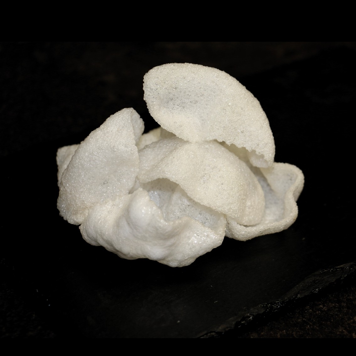 803. Krevetid krõpsud